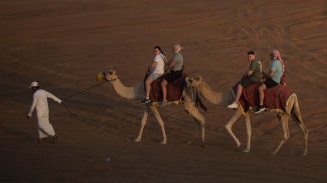 Wisatawan menaiki Unta saat berwisata gurun pasir di Dubai, Uni Emirat Arab, Kamis (15/12/2022). [ANTARA FOTO/Wahyu Putro A/YU]