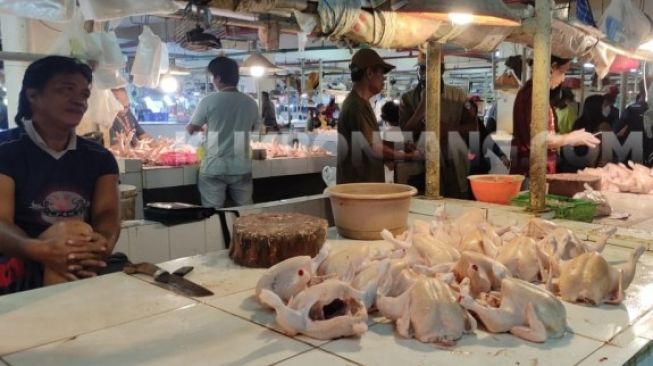 Melejit, Harga Ayam Potong di Bontang Sentuh Rp 65 Ribu