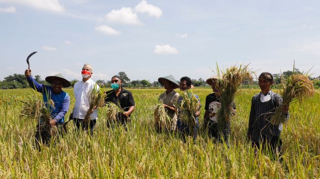 Ganjar Dorong Penyaluran Pupuk Subsidi Tepat Sasaran ke Petani Membutuhkan