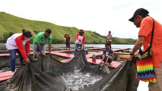 Perkuat Ketahanan Pangan, BIN Bina Pemuda Papua untuk Geluti Pertanian dan Perikanan