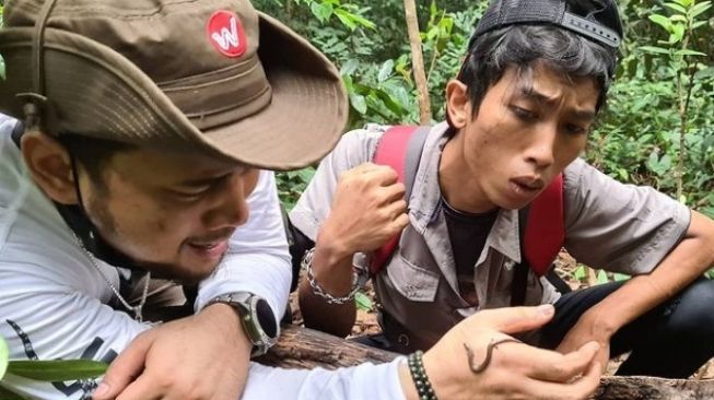 Mantan Asisten Meninggal Akibat Digigit King Kobra, Panji Petualang Akhirnya Muncul