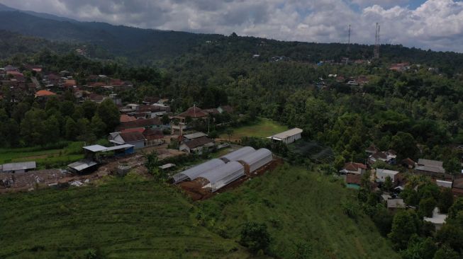 Mulai Terdigitalisasi, Petani di Nganjuk Kembangkan Pertanian Smart Greenhouse