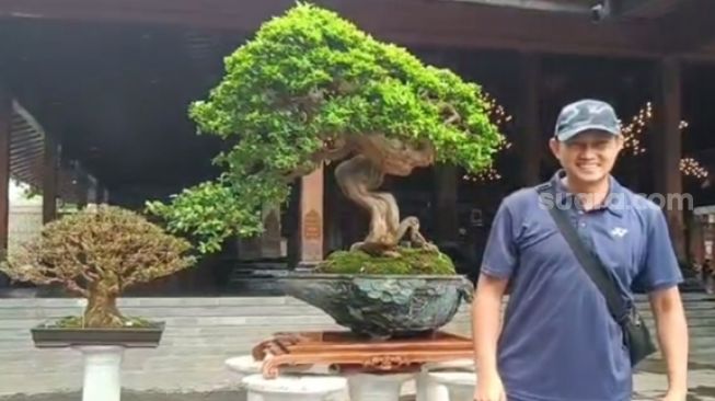 Cerita Juara Dunia Bulutangkis Chandra Wijaya Koleksi Ratusan Bonsai: Pernah Dibeli hingga Rp 200 Jutaan