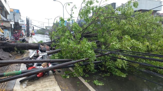 Cuaca Ekstrem, Pohon Tumbang Tutup Jalan Ahmad Yani Hingga Sebabkan Macet Panjang