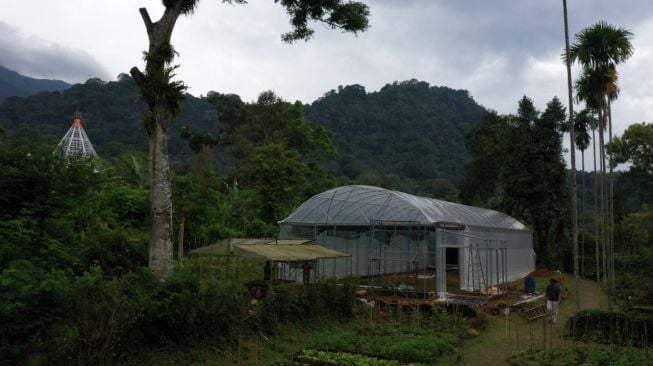 Pertanian Modern ala Smart Green House,  Tingkatkan Produksi Hortikultura dan Gaet Petani Milenial