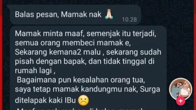 Beredar diduga chat Ibu kandung Norma Rismala meminta maaf usai ketahuan selingkuh dengan menantu. (TikTok)