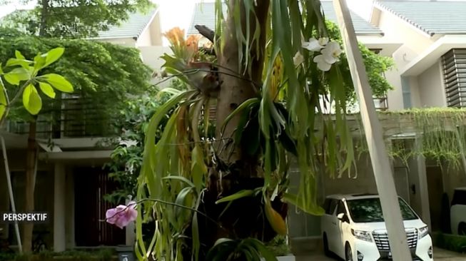 Rumah Reza Rahadian (Youtube Perspektif MetroTV)