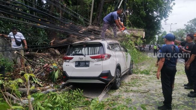 Pohon Tumbang Rusak Mobil Warga, Pengadilan Putuskan Pemerintah Harus Bayar Ganti Rugi Rp53,8 Juta