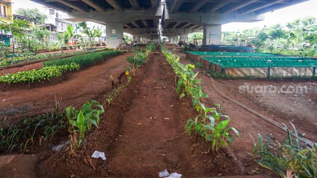 Suasana di sebuah taman yang ada di Kolong Tol Becakayu, Kalimalang, Jakarta Timur, Selasa (3/1/2023). [Suara.com/Alfian Winanto]