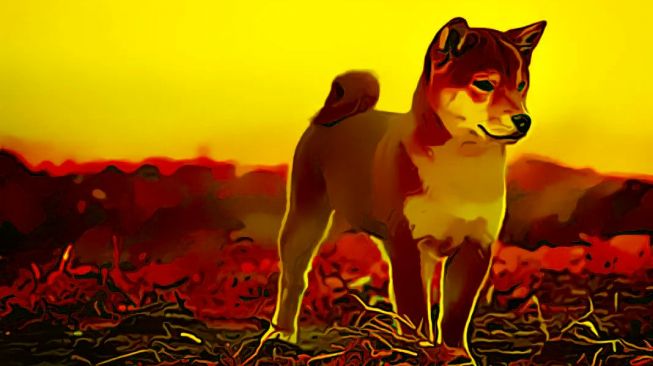 Percaya Nggak Percaya, Ini Prediksi Harga Shiba Inu Akhir Januari 2023