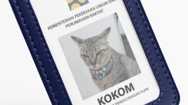 Bikin Iri Pengangguran, Deretan Kucing Ini Diangkat Jadi Pegawai Instansi