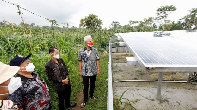 Hasil Pertanian di Purworejo Meningkat Hingga 3 Kali Panen Berkat Bantuan Pompa Air Tenaga Surya dari Ganjar