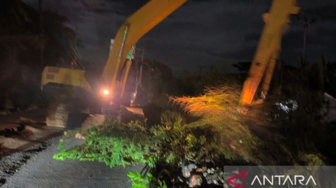 Dari Sampah Plastik hingga Batang Pohon Sumbat Kali Sepak di Tol Cibitung-Cilincing