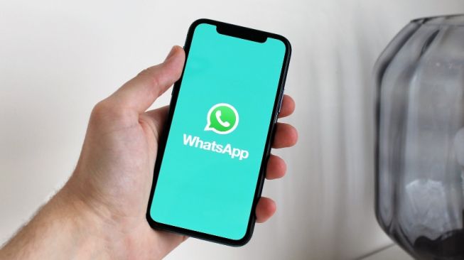 Cara Hapus Kontak WhatsApp, Mudah dan Cepat