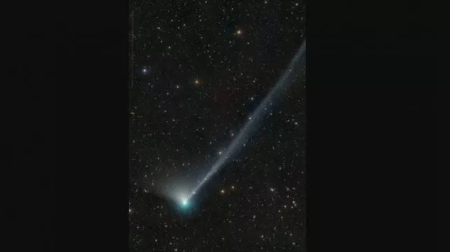 Komet C 2022 E3. [Planetary.org]