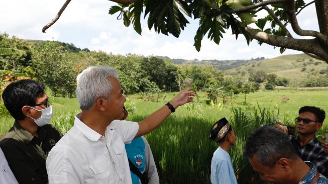 Atasi Banjir dan Longsor di Grobogan, Ganjar Akan Pulihkan Lahan Kritis dengan Penanaman Pohon