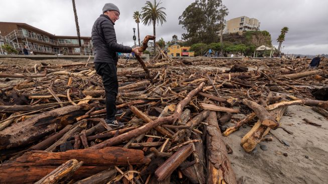 Seorang pria memegang dahan di antara pepohonan yang tersapu ke laut oleh badai dahsyat dan terdampar di pantai Capitola, California, Amerika Serikat Minggu (15/1/2023). [DAVID MCNEW / AFP]