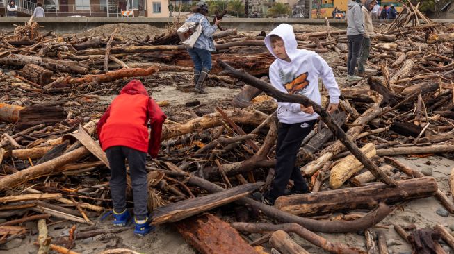 Orang-orang menjelajahi dan mengumpulkan kayu apung di antara pepohonan yang tersapu ke laut oleh badai dahsyat dan terdampar di pantai Capitola, California, Amerika Serikat Minggu (15/1/2023). [DAVID MCNEW / AFP]