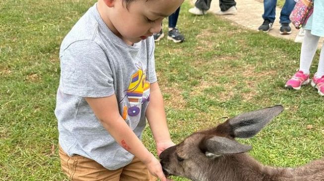  Potret Ganteng Saja Saat di Australia (Instagram/@andhiiikapratama)