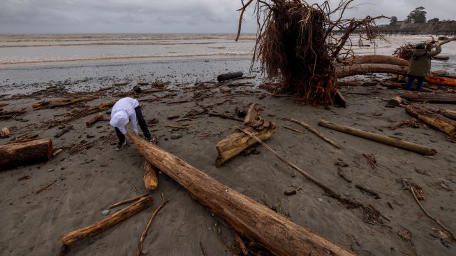 Seorang anak mencoba mengangkat batang pohon saat orang-orang mengumpulkan kayu apung di antara pepohonan yang tersapu ke laut oleh badai dahsyat dan terdampar di pantai Capitola, California, Amerika Serikat Minggu (15/1/2023). [DAVID MCNEW / AFP]
