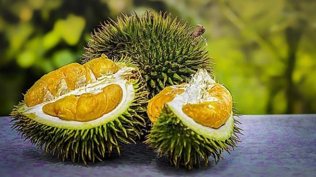 Ilustrasi buah durian (Pixabay.com/truthseeker08)