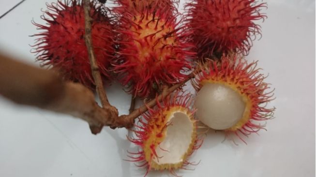 Jarang Diketahui, Ternyata Ini 5 Manfaat Buah Rambut untuk Kesehatan!