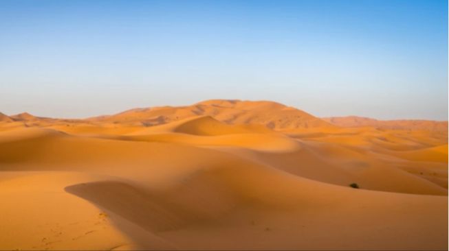 Bukan Sahara, Inilah Deretan 5 Gurun Terluas di Dunia