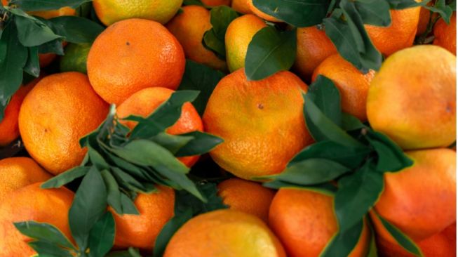 Ilustrasi buah jeruk (Pexels.com/oleksandr pidvalnyi)