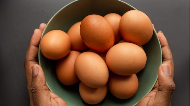ilustrasi telur (Unsplash/LouisHansel)