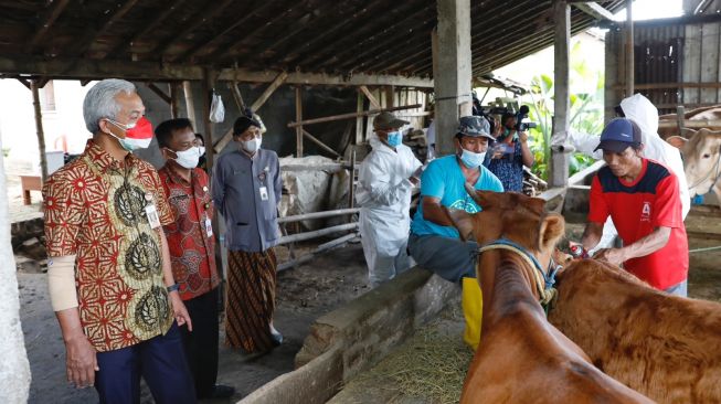 Cegah Penyebaran Penyakit Kulit Sapi, Ganjar Terapkan Pengalaman Penanganan Pandemi Covid-19