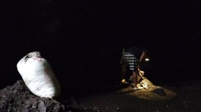 Ribuan Ton Kotoran Kelelawar Ditemukan Dalam Gua, Warga: Gak Habis-habis