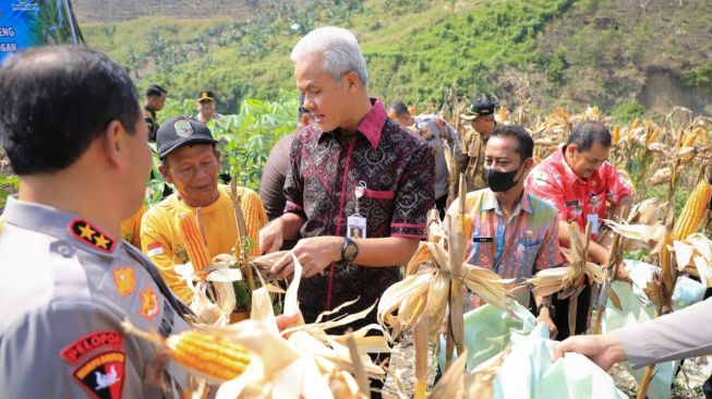 Ganjar Pranowo Ingatkan, Pemanfaatan Hutan untuk Pertanian Harus Perhatikan Pohon Penahan Air