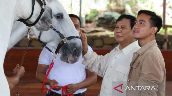 Mau di Jakarta atau Jateng, Prabowo Siap Dukung Gibran Maju Pilkada 2024