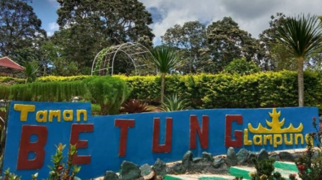 Taman Betung: Tempat Piknik yang Asyik di Kota Bandar Lampung