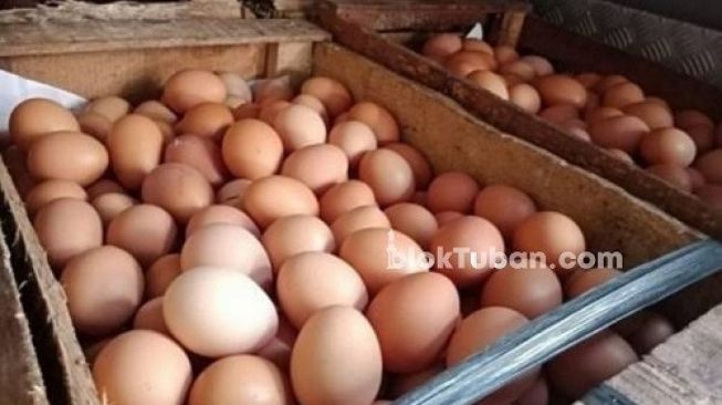 Telur di Tuban Turun Lagi Jadi Rp25.000, Daging Ayam Kini Rp30.000/Kilogram