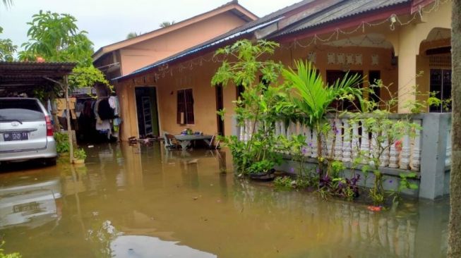 Musim Banjir Rob, Banyak Ular dan Biawak Berkeliaran di Sekitar Rumah Warga Bintan dan Tanjungpinang