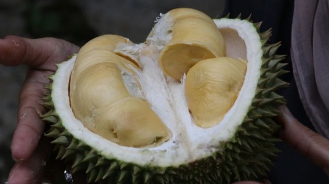 4 Tips Memilih Durian Biar Tidak Tertipu saat Beli, Anti Zonk!
