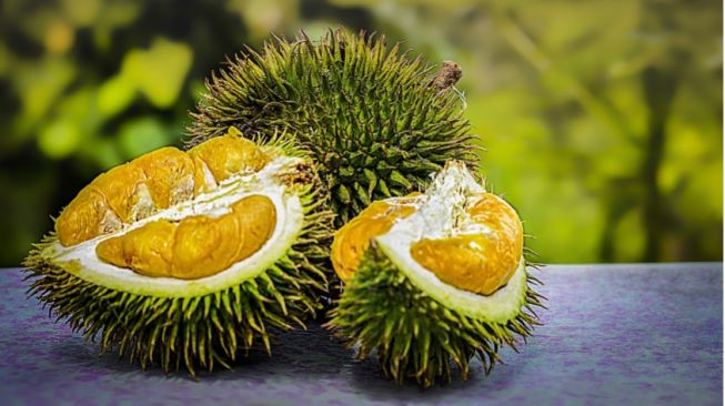 Ilustrasi durian manis (pixabay)