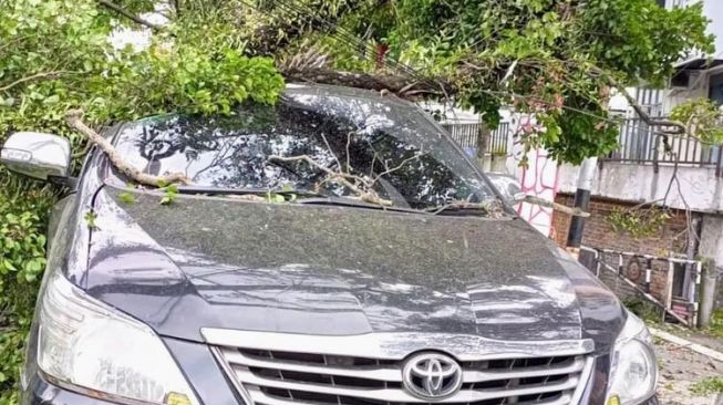 Angin Kencang! Pohon Tumbang di Jalan Siliwangi Cianjur Timpa Mobil