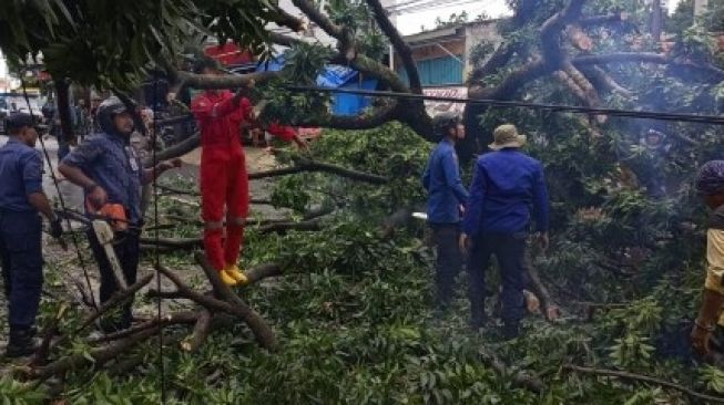 Pohon hingga Tiang Listrik di Depok Roboh Akibat Angin Kencang