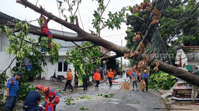 Angin Kencang Terjang Bekasi, Pohon 12 Meter Tumbang, Begini Kesaksian Warga Sekitar