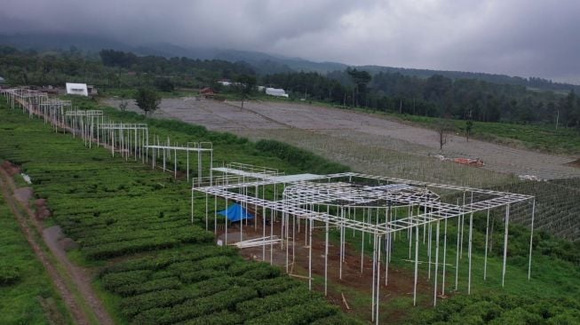 Kementan Bantu Petani Wujudkan Impian Pembangunan Agro Eduwisata di Cianjur