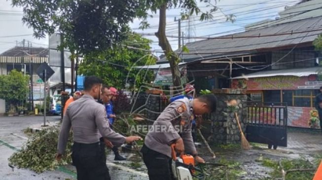 Akibat Pohon Tumbang, Jalan Nasional Trenggalek-Ponorogo Tersendat