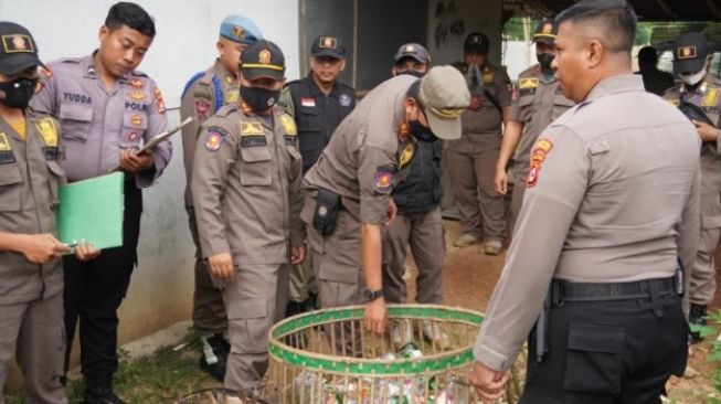 Langgar Perda Satpol Pp Kabupaten Tangerang Tindak Puluhan Pkl 