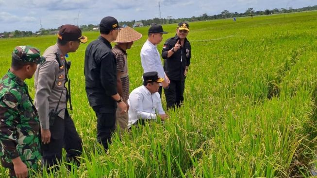 Mentan, Syahrul Yasin Limpo, di Food Estate Kabupaten Kapuas dan Pulang Pisau, Kalimantan Tengah. (Dok: Kementan)