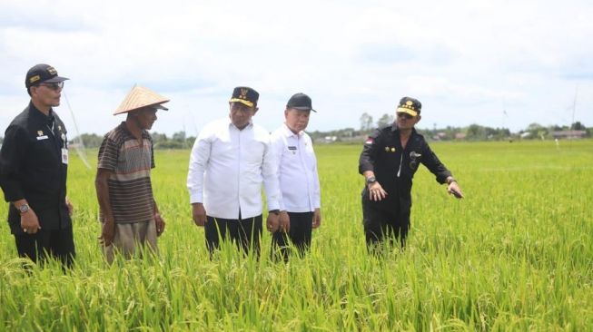 Program Food Estate di Kalimantan Tengah. (Dok: Kementan)