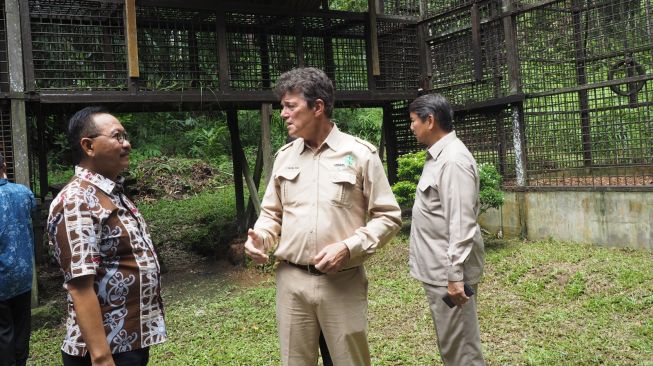 Konsep Forest City, Otorita IKN Gandeng Yayasan untuk Lindungi Orangutan
