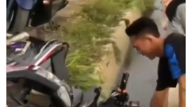 Geber-geber Motor di Depan Cewek, Cowok Ini Malah Nyemplung ke Sawah