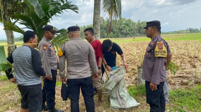 Tewas dalam Sawah, Ibu dan Anak di Padang Pariaman Dibunuh Pakai Cangkul dan Pisau