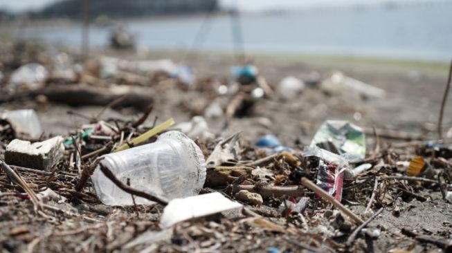 Illustration of Plastic Waste in Nature (unsplash/saving the ocean)